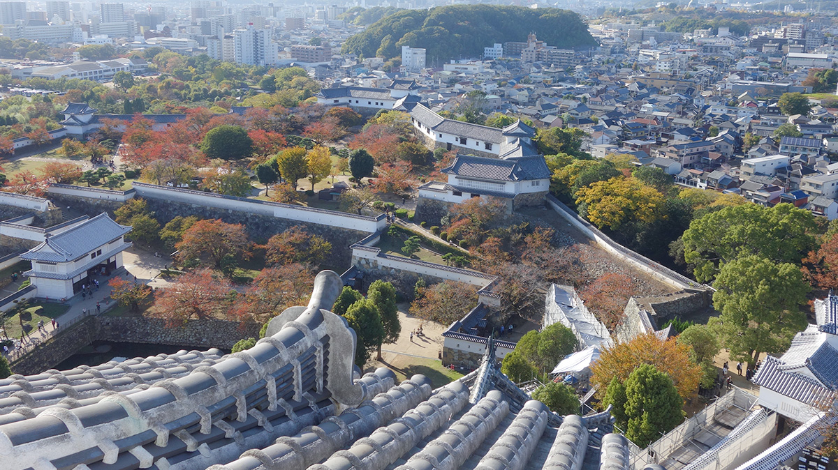 医療法人社団佑信会根木医院